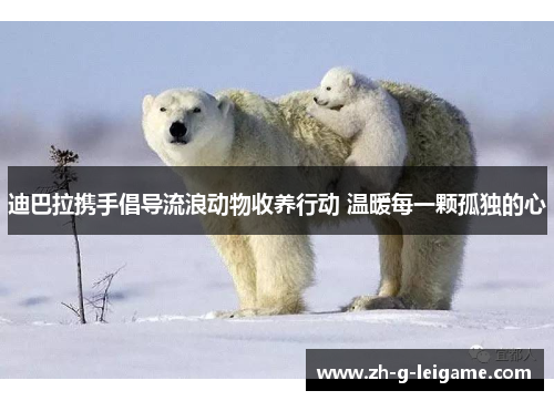 迪巴拉携手倡导流浪动物收养行动 温暖每一颗孤独的心