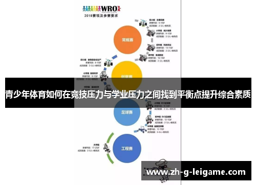 青少年体育如何在竞技压力与学业压力之间找到平衡点提升综合素质