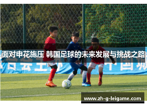 面对申花施压 韩国足球的未来发展与挑战之路